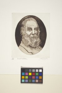 Porträtt av Walt Whitman (bläck, tryck) av Unknown artist