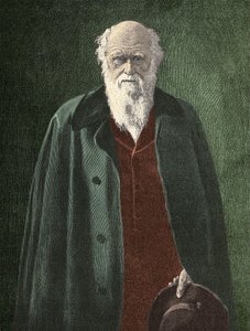 Porträtt av Charles Darwin (1809 - 1882) av Unknown artist