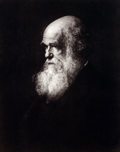 Porträtt av Charles Robert Darwin (1809 - 1882) av Unknown artist