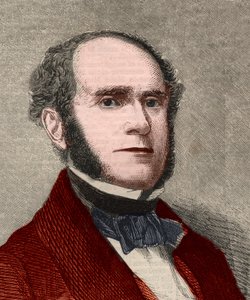 Porträtt av Fitz-Greene (Fitz Greene) Halleck (1790-1867), amerikansk poet. Gravyr i "" The illustrated London News "" av 23 januari 1858. av Unknown artist
