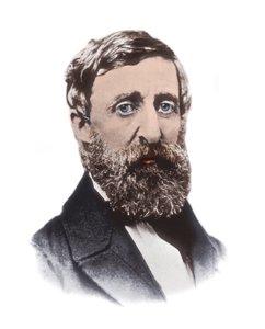 Porträtt av Henry David Thoreau (1817-1862) - amerikansk essäist, poet, filosof, abolitionist, naturforskare, skattemotståndare, utvecklingskritiker, lantmätare och historiker av Unknown artist