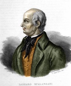 Porträtt av Lazzaro Spalanzani (eller Spallanzani), italiensk biolog (1729 - 1799) av Unknown artist