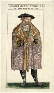 Porträtt av Leonhart Fuchs: Botanist - tysk läkare (1501 - 1566) - i "The History of Stirpium med kommentarer till märken,..." av Leonhart Fuchs av Unknown artist