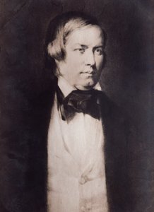 Porträtt av Robert Schumann (gravyr) av Unknown artist