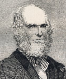 Porträtt av William Cullen Bryant (1794-1878), amerikansk poet. Gravyr i "" The illustrated London News "" av 23 januari 1858. av Unknown artist