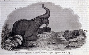 Förhistoria: representation av en Dinotherium, typ av patchyderm, som avvisar attacken av ett lejon. Gravyr av 1800-talet av Unknown artist