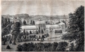 Offentlig trädgård i Bordeaux - Jardin public - Bordeaux - gravyr omkring 1867 av Unknown artist