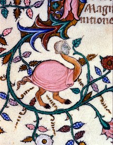 Representation av ett monster med en strutskropp och ett människohuvud. Miniatyr av ett 1300-talsmanuskript. Milano, Biblioteca Nazionale Braidense. av Unknown artist