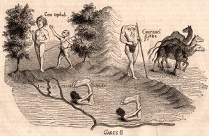 Representation av medeltida stammar och djurarter: Monocules, Blemmys, Sciopodes och kameler av Unknown artist