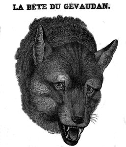 Representation av Bete du Gevaudan. av Unknown artist