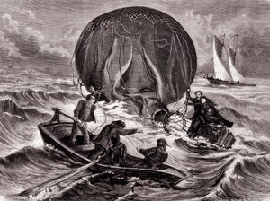 Rescue of the Habs ball, monterad av Mr och Mrs Durouf. Skeppsbrott vid Englands kust den 1 september av Unknown artist