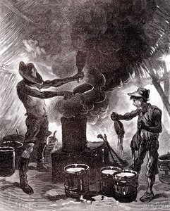 Gummiberedning eller vulkanisering i Brasilienskogen av Unknown artist
