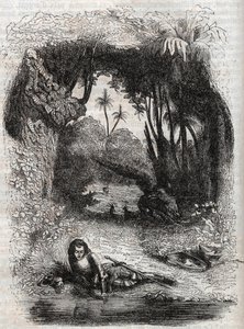Ruggiero på ön Alcina, - 1851 gravyr från dikten Orlando furioso (1516) av Ludovico Ariosto, - Upplaga översatt från italienska av greven av Tressan och publicerad av Gustave Harvard 1851 av Unknown artist