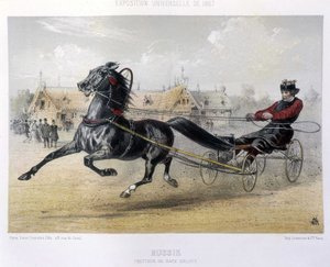 Ryssland: Orloff avlar travare - i "" Kentauren"" 1867 av Unknown artist