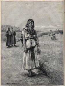 Rut arbetar på Boaz (Booz) fält (Ruth och Boaz) - gravyr från målningen av Druch-hajos av Unknown artist