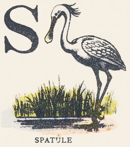 S: spatel av Unknown artist