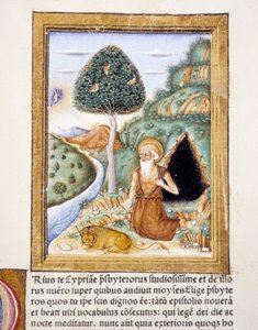 Saint Hieronymus - miniatyr av Unknown artist