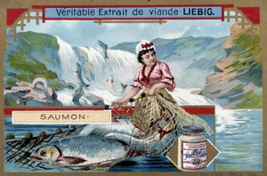 Laxfiske - 1800-talets chromo. av Unknown artist