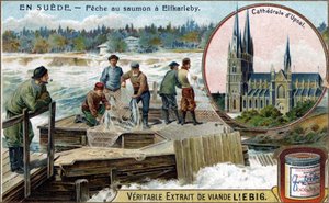 Laxfiske i Elfkarleby, Sverige. Kromolitografi, Liebig-bild. av Unknown artist