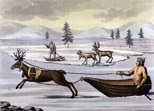 Samer: Ursprungsbefolkningen som bor i de nordliga ländernas länder (Norge, Finland, Sverige och Ryssland) rör sig med renkälke eller skidor. Gravyr av 1800-talet av Unknown artist