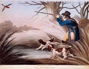 Scen för ankakt i England. 1800-talslitografi Gien, jaktmuseum av Unknown artist