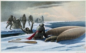 Säljakt: "" Säljakt i viken"" - i "" Exploration of the Labrador Peninsula"" av Hind, London av Unknown artist