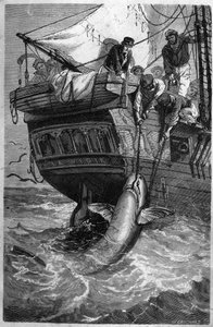 Hajfiske. (Pesca allo squalo) 1800-talsgravyr. Privat samling. av Unknown artist