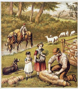 Fårklippning - kromolitografi av Unknown artist