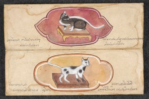 Siamesiska katter av Unknown artist