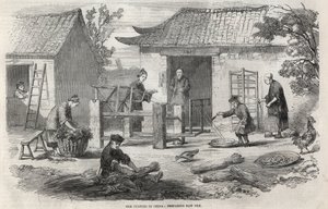 Silkeproduktion i Kina och de olika stadierna av tillverkningen. av Unknown artist