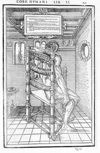 Skalle skuren. Anatomisk styrelse för "Dissektionen av de tre delarna av människokroppen..." Carlo Stefano Riverio, Paris 1545 av Unknown artist