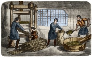Sockertillverkning: extraktion av juice från betmassa. Massan stoppas i påsar som staplas under brickan på en hydraulpress. Gravyr från 1859. i "" Vetenskapsmuseet"" av Unknown artist