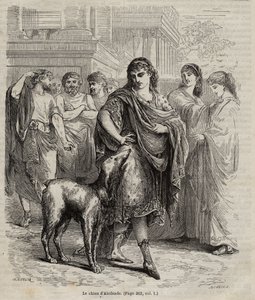 The Dog of Alcibiades - Alcibiades statsman och talare och general atenares hund, gravyr från 1864 450-404 f.Kr. av Unknown artist