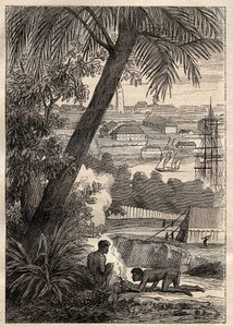 The Expedition to the Southern Lands (1800-1803) av Nicolas Baudin (1754-1803): View of Sydney (Australien) - illustration från "The Great Mariners of the 18th century"" av Unknown artist