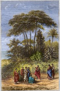 Pythagoras skola - Pythagoras bland hans elever i Crotona - gravyr 1879 - Filosofen Pythagoras och hans lärjungar under skuggan av Crotone, gravyr från 1879 av Unknown artist