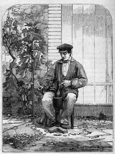 Buteljering av champagnevin. Gravyr från 1864. av Unknown artist