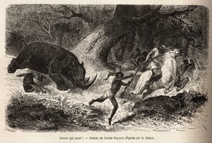 Andelen av noshörningen som välter och fångar jägarna, under sökandet efter författaren och hans guider. Gravyr för att illustrera utforskningen av Nilens abessiniska bifloder, av Sir Samuel W. Baker, 1861-62, publicerad i "" Le tou av Unknown artist