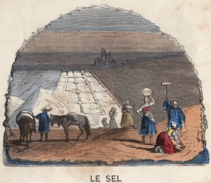 Samlingen av salt. 1800-talsillustration. Bianchetti samling. av Unknown artist