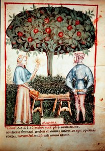 Samlingen av Mejram Illuminure från mjölkning av medicin och diet "" Tacuinum sanitatis"" efter mjölkningen av medicin "" Kitabtaqwim as-sihha"" av Ibn Butlan av Unknown artist