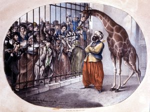 Den nyfikna folkmassan rusade för att se en giraff bakom en grind. Litografi av Danhaaren. 1829 av Unknown artist