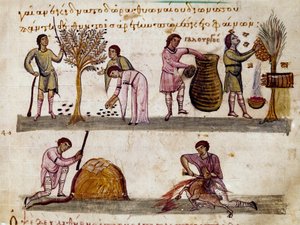 Skörden av oliver, produktionen av honung och lammslakten Miniatyr från jaktmjölkningen ""The Cynegetics"" av Oppian (Oppian eller Oppianus) i Syrien (3:e århundradet e.Kr.) tillägnad Caracalla. 1000-talets Venedig. Biblioteca Marciana av Unknown artist