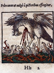 Legenden om pelikanen: han ger sitt blod och sina tarmar för att mata sina ungar. Ur Historiae animalium av Konrad Gesner, Tiguri av Unknown artist