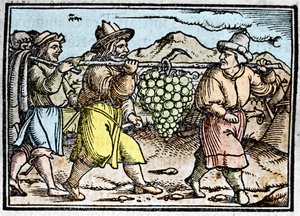 Josuas och Kalebs återkomst med ett enormt druvklase från Kanaans land (förlovat land). Krönika av Johann Stumpff "" Den edlen strucen besten fromen"" av Unknown artist