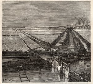 Saltkärret i Giraud i Camargue (Bouches-du-Rhone), vy tagen från servicekanalen - gravering i 