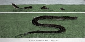 Havsormen observerades 1872 i Meridional Atlanten. av Unknown artist