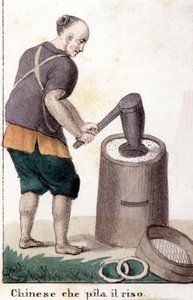 Un chinese qui pille le riz - i Den universella dräkten för alla världens folk av Unknown artist