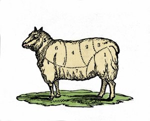 Olika bitar av fårslaktare. Illustration från slutet av 1800-talet. av Unknown artist