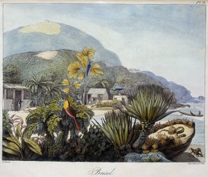 Vy över Brasilien i "" Utsikter och landskap i dagjämningsregionerna, samlade på en resa runt världen"", sd. 1800-talet av Unknown artist