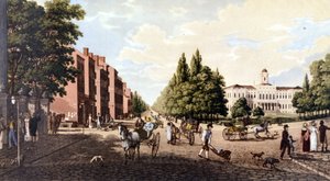 Utsikt över New York: Broadway och stadshuset. SD litografi kring mitten av 1800-talet. av Unknown artist