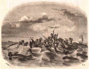 Vy över en grupp engelska sjömän som jagade en valrossflock 1818 utanför Spetsbergens kust av Unknown
